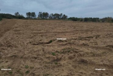 UN terrain agricole a vendre a el haouaria surface 44000m²