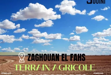 Henchir 92 hectares a el fahs zaghouan
