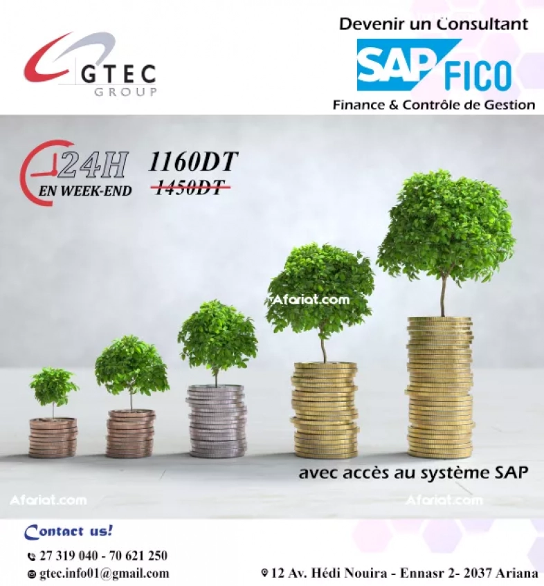 Formation sap fico ( sap finance et sap controlling )