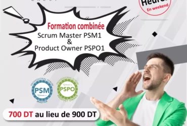 Promo : Formation Agile Scrum et Product Owner ( PSM / PSPO )