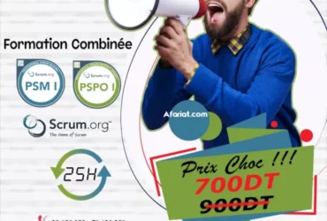 Promo spécial -20% : formation scrum master & product owner